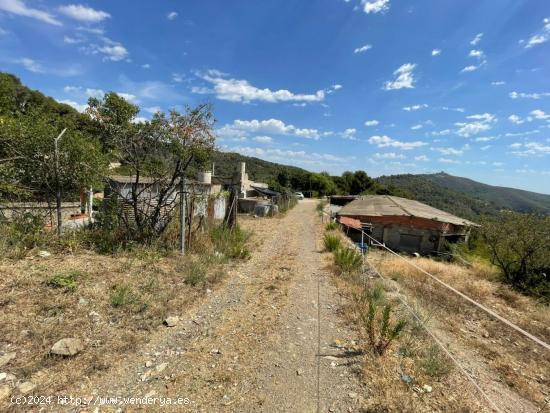 Terreno agrícola en Sant Climent de Llobregat - BARCELONA