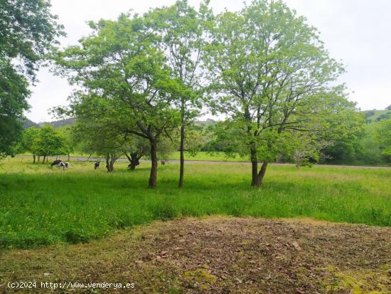 Venta de finca entre La Cavada y Liérganes - CANTABRIA