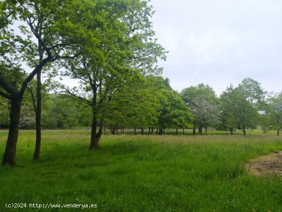 Venta de finca entre La Cavada y Liérganes - CANTABRIA