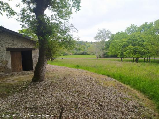 Venta de finca entre La Cavada y Liérganes - CANTABRIA