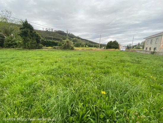 Terreno urbano en Arnuero, Cantabria - CANTABRIA