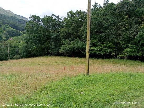 Terreno rústico en Liérganes de 3.790m2 - CANTABRIA