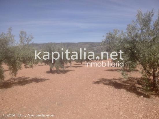 Terreno a la venta en Termino de Banyeres - ALICANTE