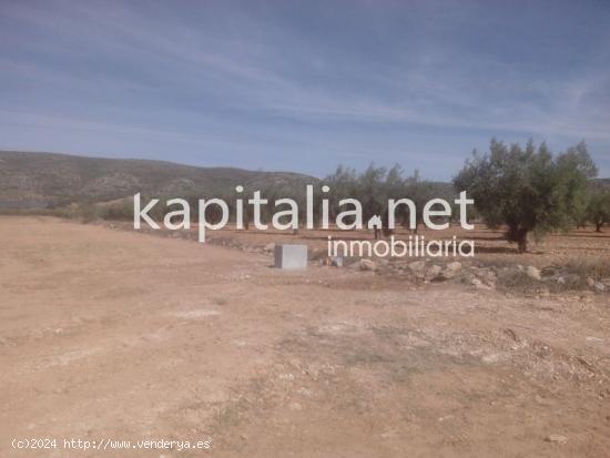 Terreno a la venta en Termino de Banyeres - ALICANTE