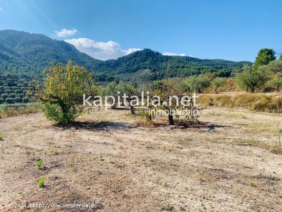 Parcela a la venta en Alfafara. - ALICANTE