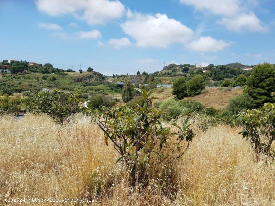 Magnifica Finca rustica en Estepona - MALAGA