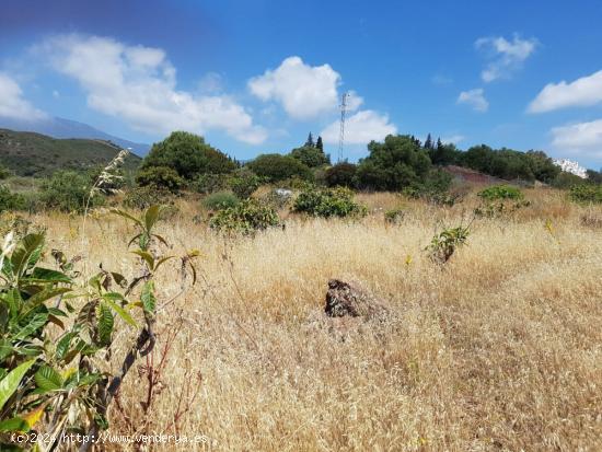 Magnifica Finca rustica en Estepona - MALAGA