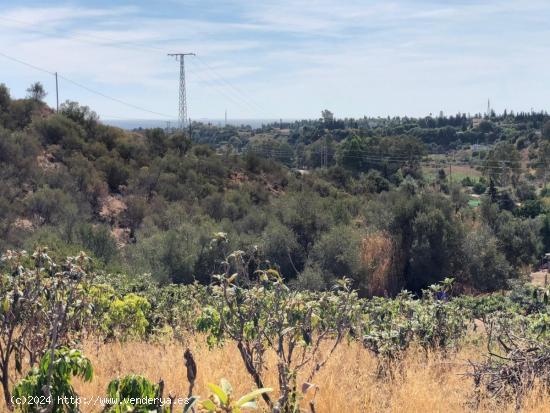 Gran Finca, con gran potencial hotelero, cria caballos o agricola - MALAGA