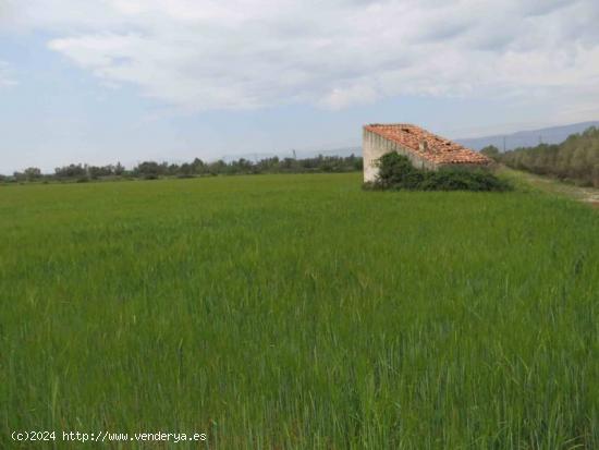 Finca rústica de 20.000 m2, de regadio. A 3 km de Ulldecona - TARRAGONA