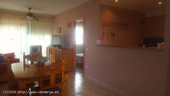 Piso de 53 m2 en Alcanar playa, a 250 m  del mar - TARRAGONA