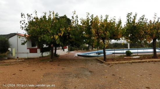 Finca rústica de 27.000 m2 con caseta y almacén. - TARRAGONA