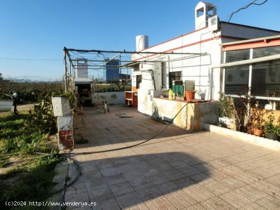 Finca rústica de 5.500 m2., Con un chalet de 130 m2.. Al lado del mar - TARRAGONA