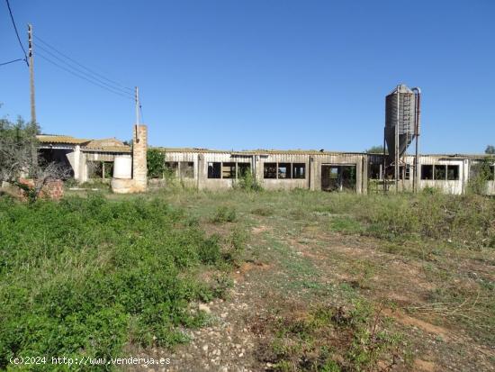  Finca rústica de 7.000 m2 con granjas. - TARRAGONA 