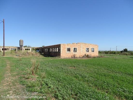 Finca rústica de 7.000 m2 con granjas. - TARRAGONA