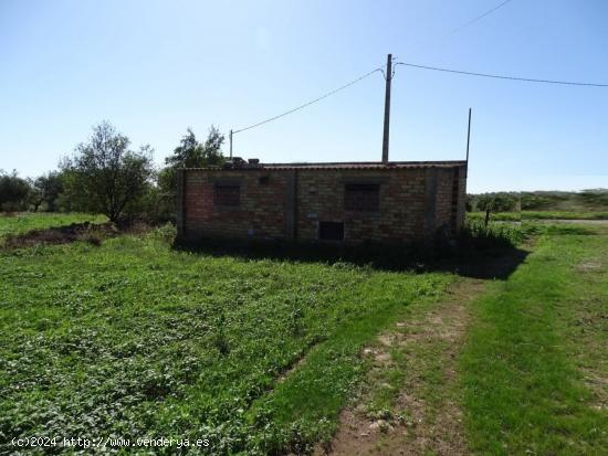 Finca rústica de 7.000 m2 con granjas. - TARRAGONA