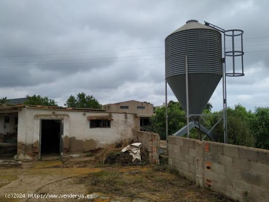 Granja de 3.000 m2 - TARRAGONA