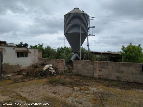 Granja de 3.000 m2 - TARRAGONA