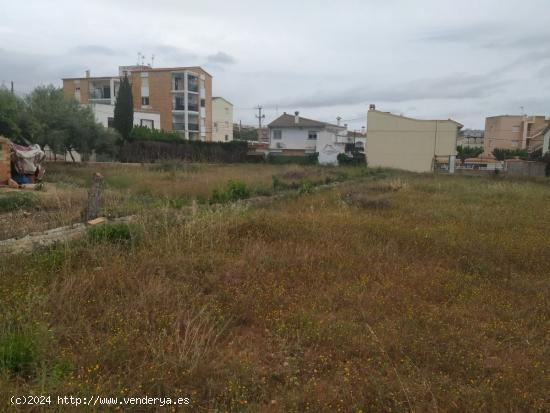 Parcela de 2.300m2, con luz. A 500 M, DEL MAR - TARRAGONA