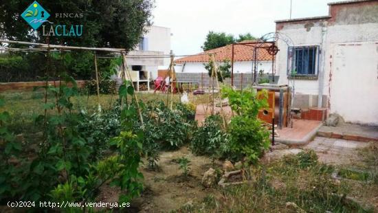 Parcela plana con caseta en Vilanova i la Geltrú zona Santa Maria - BARCELONA