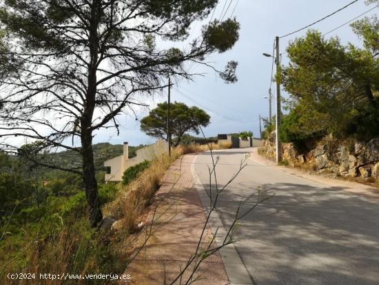 Gran Parcela con vistas  de 1319 m2 en Olivella - BARCELONA