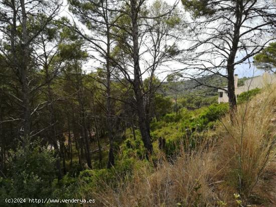 Gran Parcela con vistas  de 1319 m2 en Olivella - BARCELONA