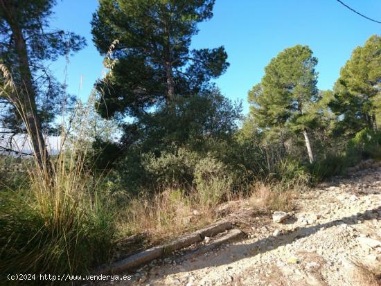 Terreno en venta urbanizable programado  en Sant Pere de Ribes ,con vistas despejadas - BARCELONA