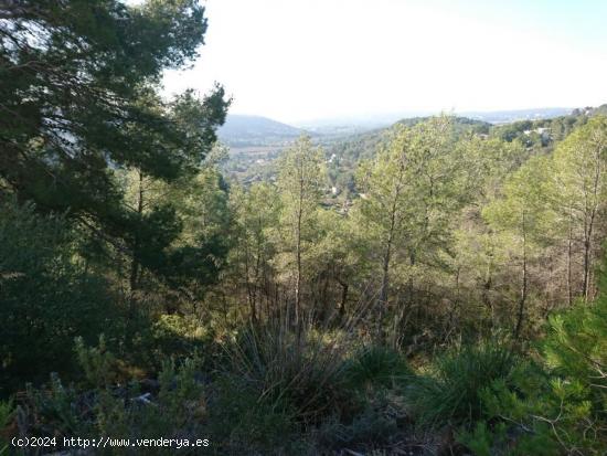 Terreno en venta urbanizable programado  en Sant Pere de Ribes ,con vistas despejadas - BARCELONA