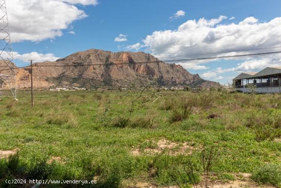  TERRENO DE 13.950 M2 EN ORIHUELA - ZONA POLÍGONO PUENTE ALTO - ALICANTE 