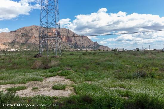 TERRENO DE 13.950 M2 EN ORIHUELA - ZONA POLÍGONO PUENTE ALTO - ALICANTE