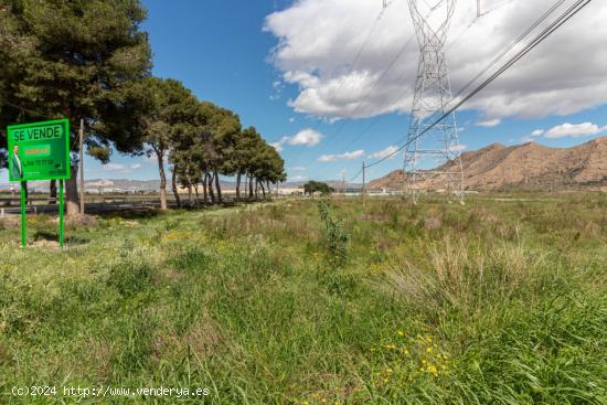 TERRENO DE 13.950 M2 EN ORIHUELA - ZONA POLÍGONO PUENTE ALTO - ALICANTE