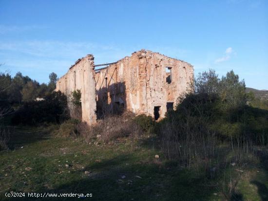  FANTÁSTICA FINCA RÚSTICA EN PLENO PARC NATURAL DEL GARRAF - BARCELONA 