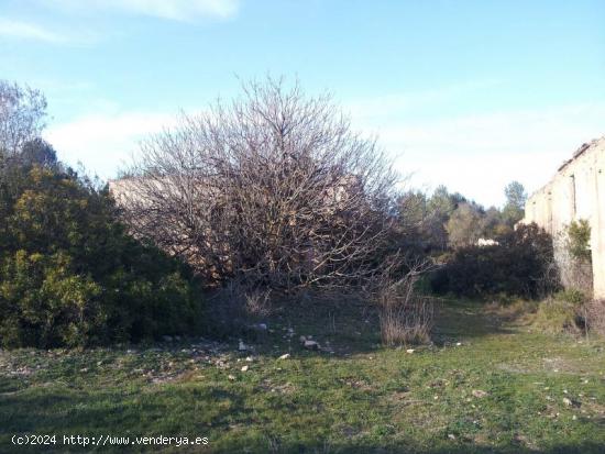 FANTÁSTICA FINCA RÚSTICA EN PLENO PARC NATURAL DEL GARRAF - BARCELONA