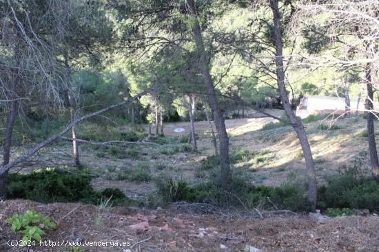 Parcela en Canyelles (Les Palmeres) - BARCELONA