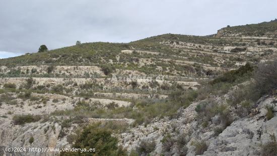  Espectacular finca rústica - ALICANTE 