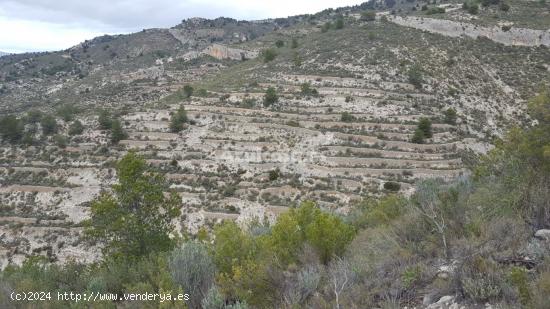 Espectacular finca rústica - ALICANTE