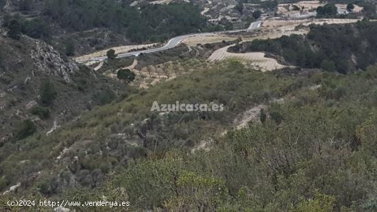 Espectacular finca rústica - ALICANTE