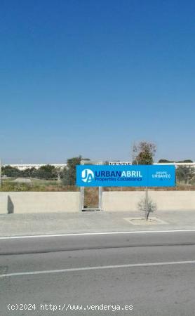 Parcela 665 m2 en zona exclusiva Golf Playa San Juan de Alicante - ALICANTE