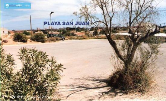  Gran Parcela Urbana en San Juan - ALICANTE 