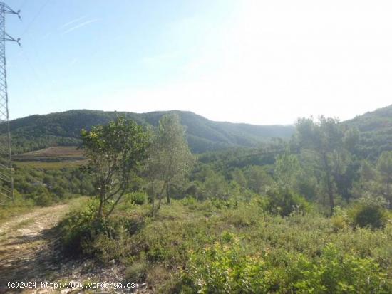  TERRENO EN VENTA CON VISTAS AL PARC NATURAL DEL GARRAF - BARCELONA 