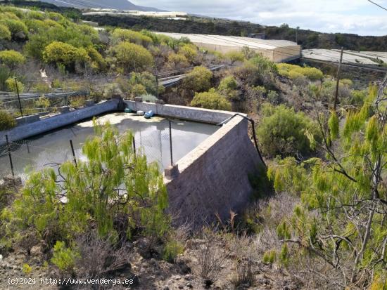 Venta de terreno agrícola ganadero - SANTA CRUZ DE TENERIFE