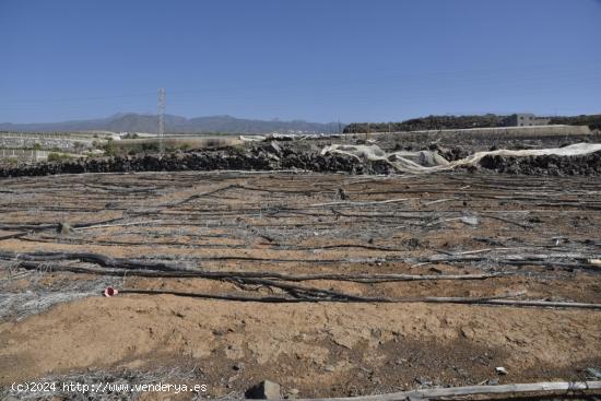 Finca en Ricasa - SANTA CRUZ DE TENERIFE