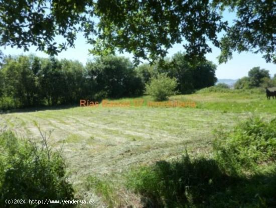 REF 2206 FINCA RUSTICA 1345 m2 CABRAL CERCANA A PUXEIROS (VIGO) - PONTEVEDRA