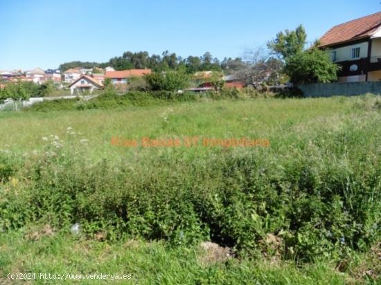 REF 2730 SOLAR 1004 m2 EDIFICABLE LLANO Y SOLEADO CANDEAN (VIGO) - PONTEVEDRA