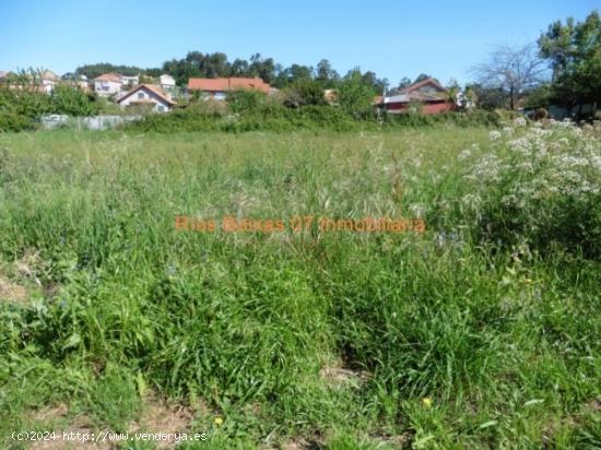 REF 2730 SOLAR 1004 m2 EDIFICABLE LLANO Y SOLEADO CANDEAN (VIGO) - PONTEVEDRA