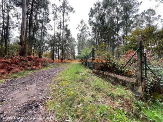 REF 2928 FINCA RÚSTICA DE 3133m2 CON ACCESO PARA COCHE ( MOS ) - PONTEVEDRA