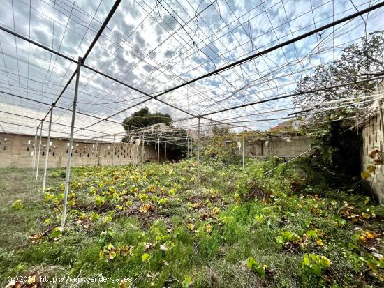 FINCA RÚSTICA EN INGENIO - LAS PALMAS