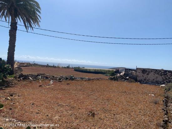 TERRENO RÚSTICO- AGRARIO EN MONTAÑA LOS VELEZ - LAS PALMAS