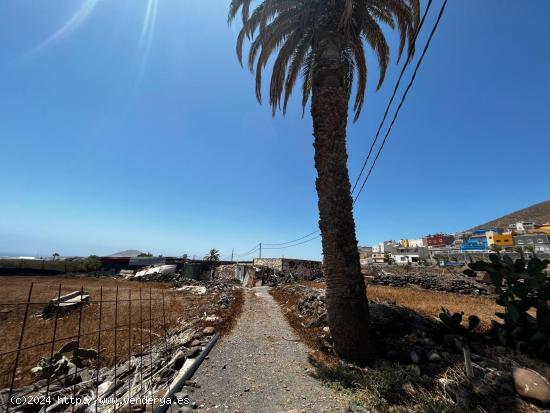 TERRENO RÚSTICO- AGRARIO EN MONTAÑA LOS VELEZ - LAS PALMAS