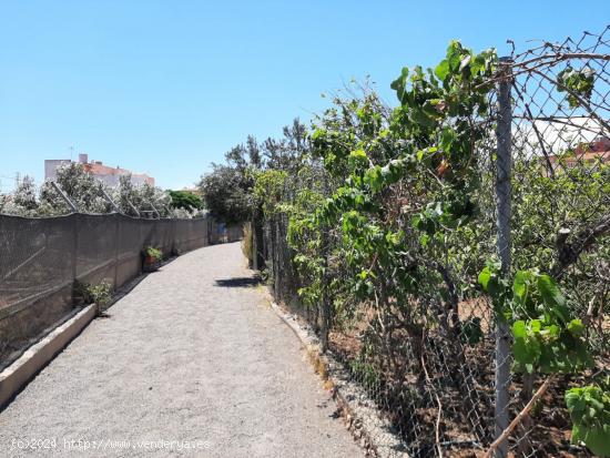 FINCA RUSTICA CON DOS APARTAMENTOS - LAS PALMAS