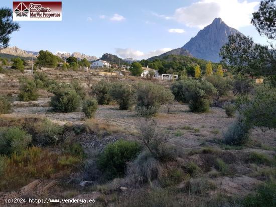 Parcela en Finestrat - ALICANTE